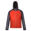 Regatta Mens Radnor Insulated Waterproof Jacket (Cajun Orange/Rhino) -Sports Outdoor Store k426836b1647233a7e42467dae568f0f5