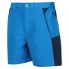 Regatta Sorcer Mountain III Kids' Hiking Shorts