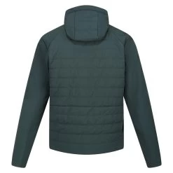 Regatta Daxford Men's Walking Jacket 30 Regatta Daxford Men's Walking Jacket -Sports Outdoor Store k616607464e6740abf854c6f9949d9ed2