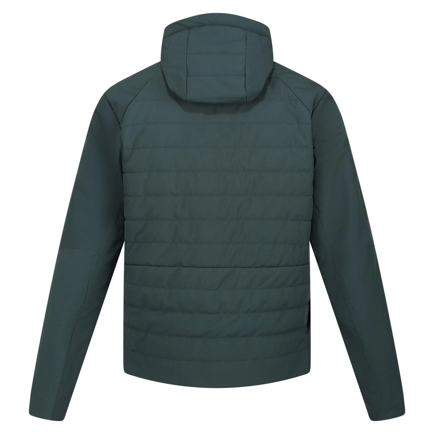 Regatta Daxford Men's Walking Jacket 16 Regatta Daxford Men's Walking Jacket - Image 14