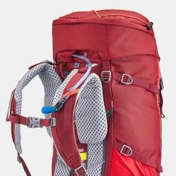 Quechua Children's Hiking/Trekking 40+10L Backpack MH500 -Sports Outdoor Store k878b395d4f024e2705e9dd81f56e708e