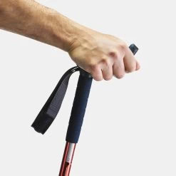 1 Hiking Pole -Sports Outdoor Store kb6cfc9b28d2e80d2478ede0764fe400b